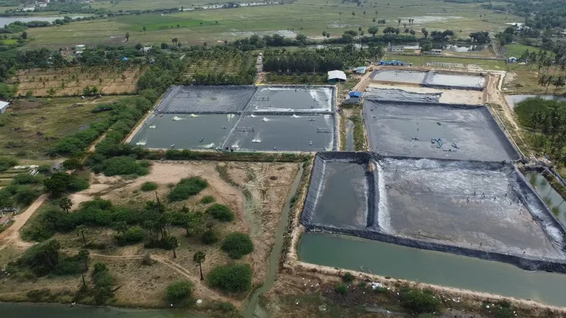 Field bunds and channel edges seen from above