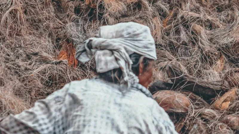Coconut waste at a coir yard, the raw material for chipping